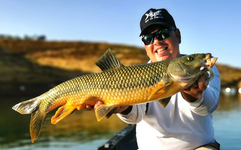 Ловля иберийского усача – Way Of Fishing