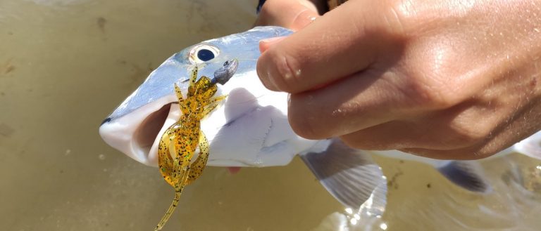 Real Craw Fishup – способ рыбалки